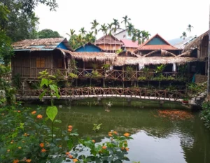 Pom cọong